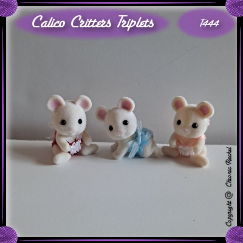 White Mouse Family Triplets
